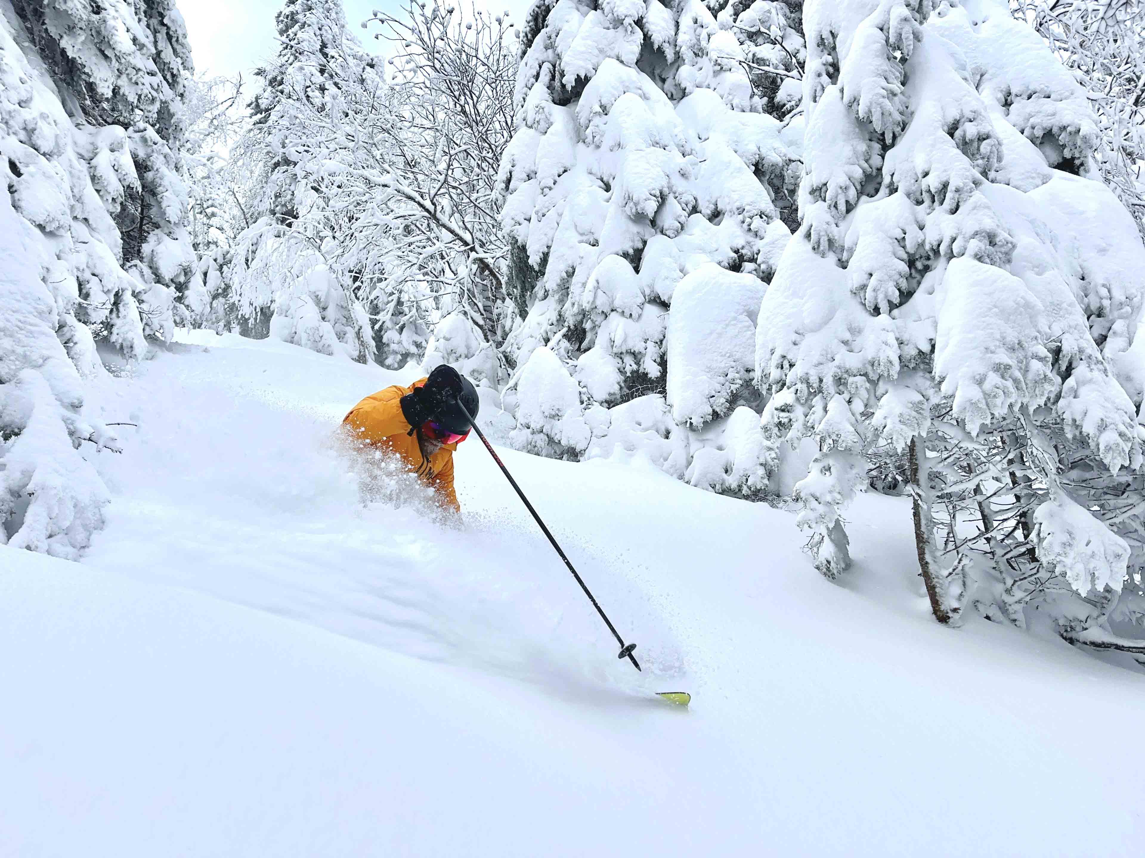 Hugh in powder