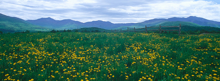 Spring at Smugglers' Notch